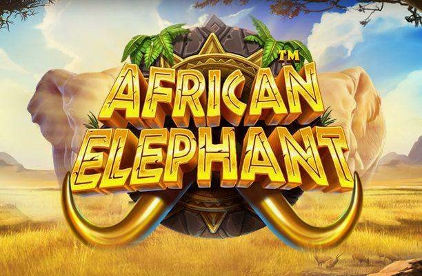 African Elephant